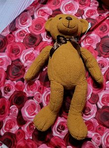 Teddy