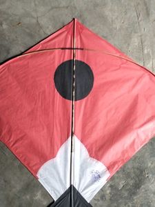 50 Kite Different Colours