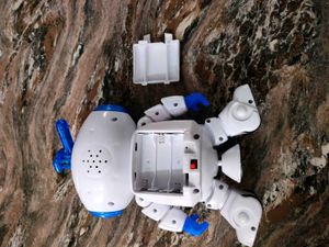 Dancing Robot