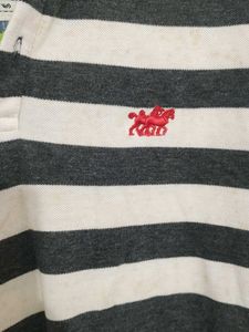 Striped Green &amp; Grey Polo Shirt