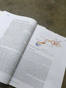 Class 10 Science Book