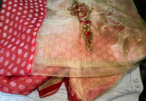 RED 🍒 AND BEIGH NET SAREE