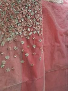 net and half georgette  work  sare
