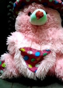 Pink Plush Bear