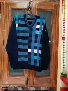 Mens Winter Wear New Sweater