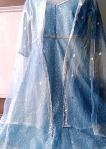 Elegant Blue Ethnic Gown