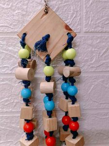 Parrots And Birds Nature Hanging Squares
