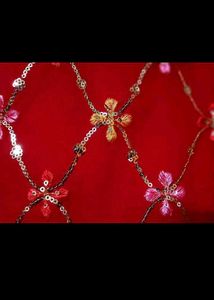 Red sequins embroidery Kurta Set both side