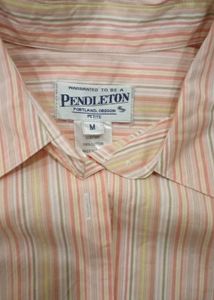 Striped Pendleton Shirt