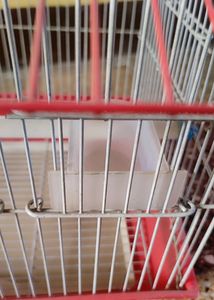 Premium Bird Cage