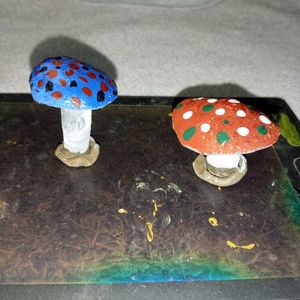 Mashroom Showpeace.