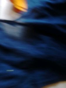 Blue Colour Saree Blouse