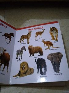 All In One Big Board Book
