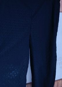 Net Plazzo Pant