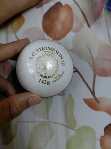 Kookaburra Turf Cricket Ball