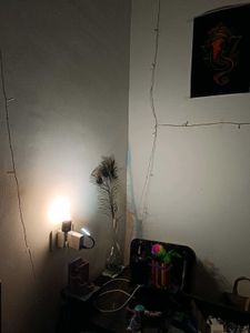 Set of Mini Gadgets - Lights | Fan | Batteries