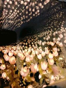Tulip Lamp🌷