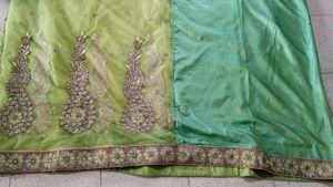 Golden And Parrot Green Sari With Blouse