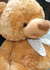 Cute Teddy - Giant Baby 🧸