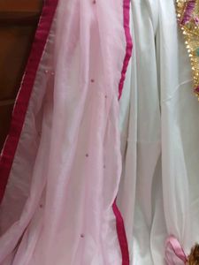 Beautiful Organza Dupatta Suit Set