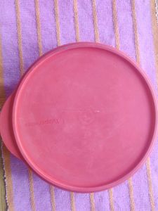 Tupperware Spice Container