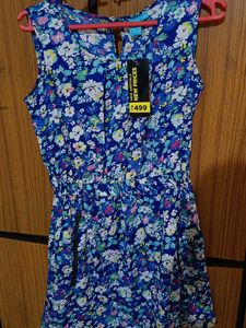 Blue Tunic