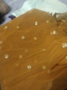 Fancy Party Wear Dupatta