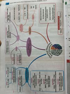 Class 10 Science Question Bank