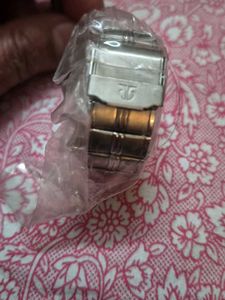 Titan Two-Tone Watch strap steel