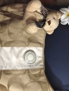 Coach Hobo (INR2500)