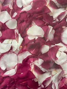 Pure Crepe Premium Quality Fabric 6 Meters