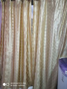 Hurry Up!  Grab Fast  Yellow Curtain 7 Ft.No Stain