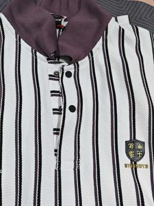 Striped Polo Shirt