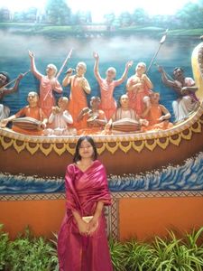 A Pink Banarasi Saare