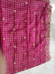 Organza Cut Work Checks Dupata