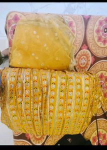 Heavy Party Wear Gown With Dhupata