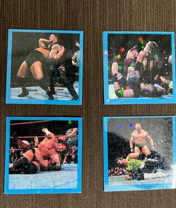 WWE 2003 Memories Shiny Cards