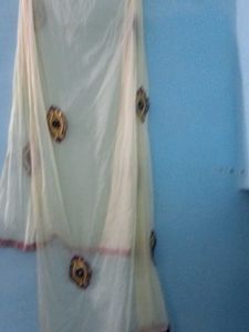 Elegant Ethnic Gown