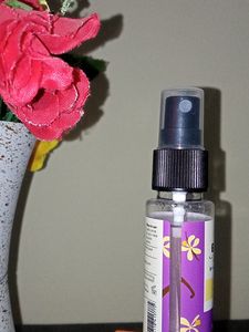 Plam Body Mist || Vanilla Vibes.