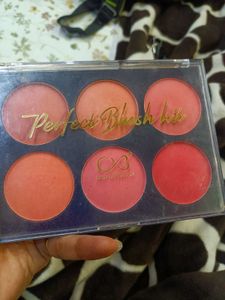 Perfect Blush Kit