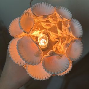 Shell Lamp