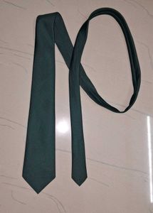 Seaweed Green Tie