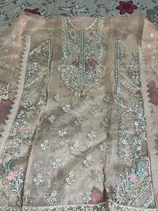 Embroidered Organza Kameez