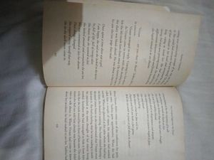 She Swiped Right Into My Heart ❤️