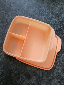 Tupperware Tiffin Box