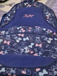 Skybags Backpack