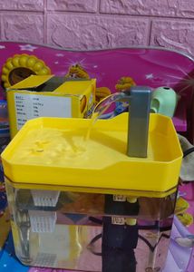 New 1 Day Old Pet Water Fountain - Yellow