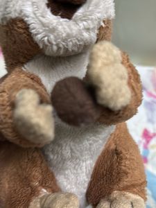 Stuffed Animal Duo