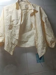 Striped Button-Down Shirt