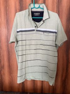 Mens Collar Tshirt